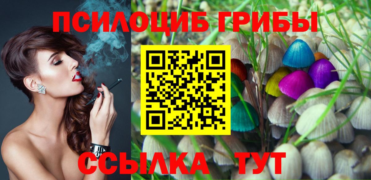 Псилоцибиновые грибы Psilocybe  Вход с VPN  Пенза 