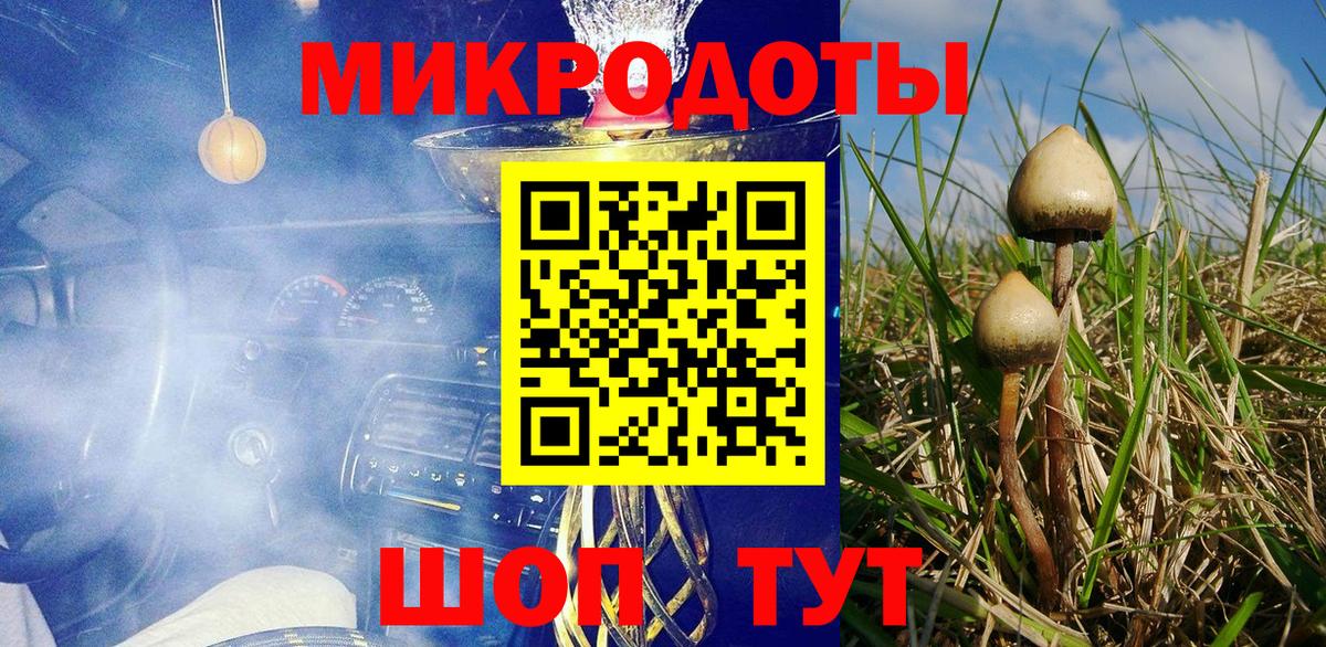 Псилоцибиновые грибы прущие грибы Пенза